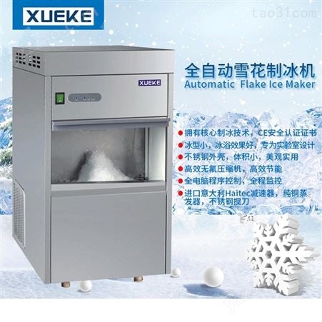 常熟雪科雪花制冰机IMS-150实验室制冰机颗粒制冰机