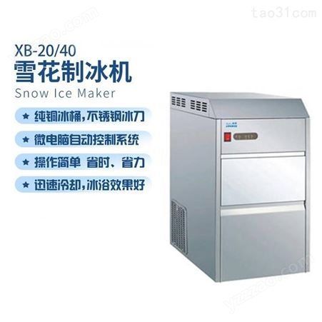 净信XB-20雪花制冰机小型医学实验大型海鲜火锅西餐日料保鲜