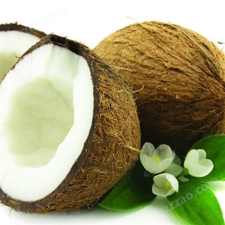 椰子油手工皂原料。食用椰子油，精炼椰子油益海嘉里椰子油