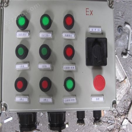 赛恩电气 隔爆型防爆控制箱按钮仪表控制箱