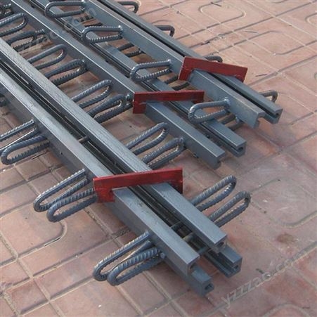 厂家供应桥梁伸缩缝 d80型 c40型工地变形缝装置 型钢异型缝彦邦定制