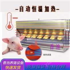 新疆小猪喂奶机 妈妈机 小猪喂奶价格-香池养猪设备