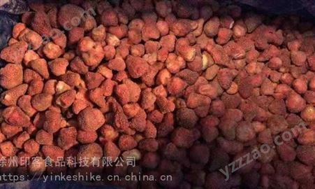 徐州印客食品科技有限公司 印客食科 烘焙原料 加工辅料 无糖草莓 含糖草莓 榴莲脆