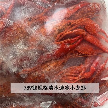 2020年冻虾尾货789规格清水冷冻整肢虾共311件便宜处理21元/斤