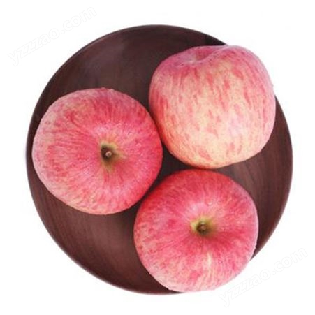 冷库红富士苹果膜袋价格表 一级红富士苹果包装定制 代收苹果 批发