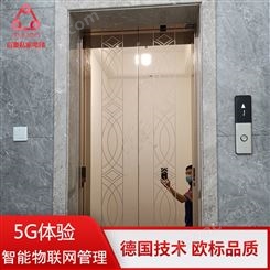 上海別墅用小型電梯尺寸 Gulion/巨菱320kg家用電梯價格