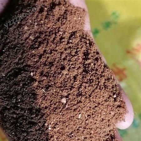 食品用红枣粉 供应枣颗粒 红枣粉 按需供应