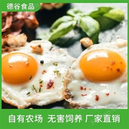 煎鸡蛋代工厂_德谷食品_代加工煎鸡蛋_欢迎咨询