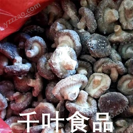 六安速冻香菇丁 冷冻食用菇
