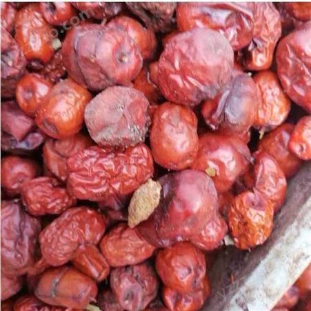 红枣 去核空心枣 质量可靠 献县生产 金丝小枣