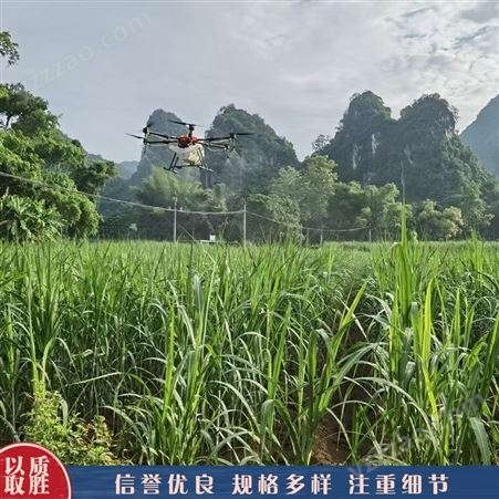 小型植保无人机 苗圃喷洒无人机 农作物播种无人机 长期销售