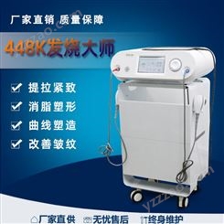 带温控理疗养生养生仪器448K