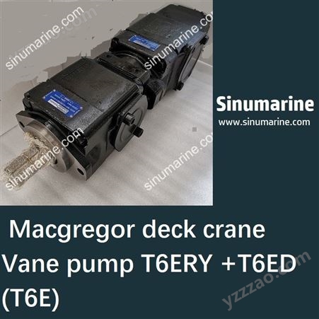 Macgregor deck crane Vane pump T6ERY +T6ED (T6E)叶片泵