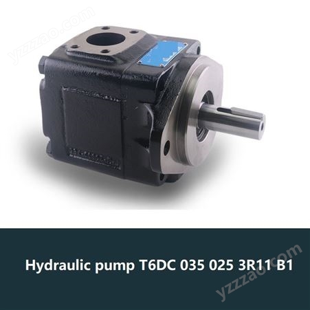 Hydraulic pump T6DC 035 025 3R11 B1克令吊液压泵