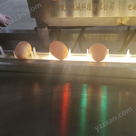 蛋品清洗设备 斯锐迈SRM-600-Ⅱ型 鸡蛋清洗风干流水线