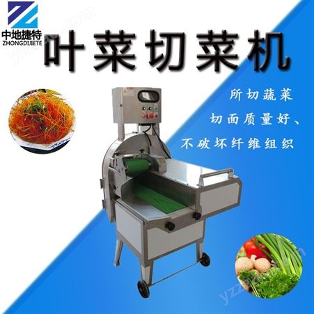厨房净菜加工设备机 快餐店葱香菜切段机器 不锈钢叶菜切菜机