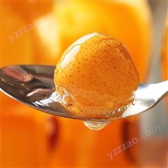 橘子罐头 犁罐头  山楂罐头_企业生产供应