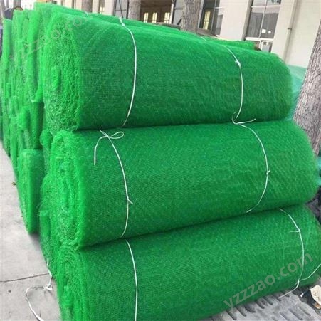 护坡植草绿化用EM3三维植被网  三维网 润泽土工网垫