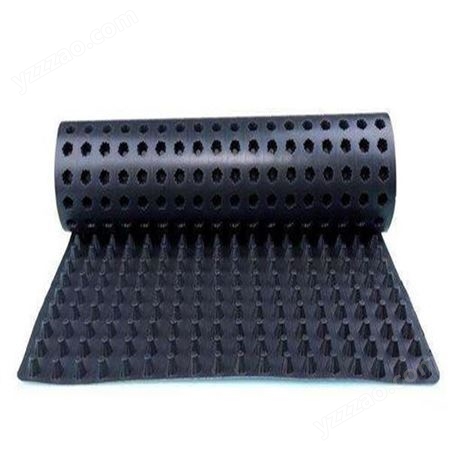 凹凸塑料排水板 hdpe蓄疏水板  润泽高分子防护排水异形片