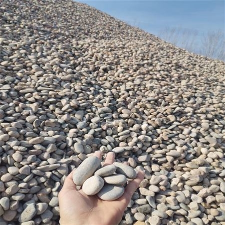天然鹅卵石滤料  安奕 8-16  16-32毫米