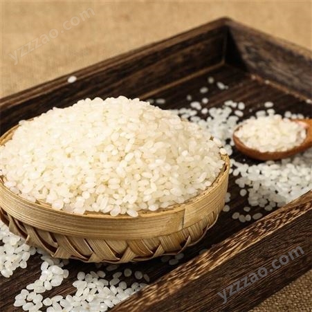 启旺长期变质珍珠米回收高价收购生虫柳林贡米