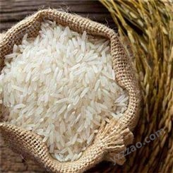 启旺长期收购发霉东北大米高价虫蛀有机大米回收
